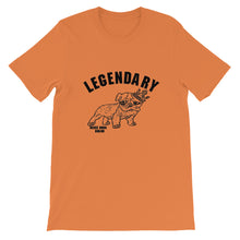 Load image into Gallery viewer, Unisex Legendary
