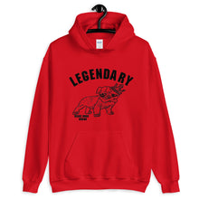 Load image into Gallery viewer, Unisex Hoodie Legendary
