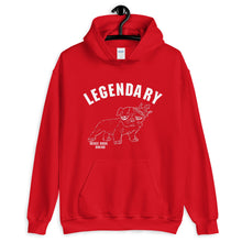 Load image into Gallery viewer, Unisex Hoodie Legendary
